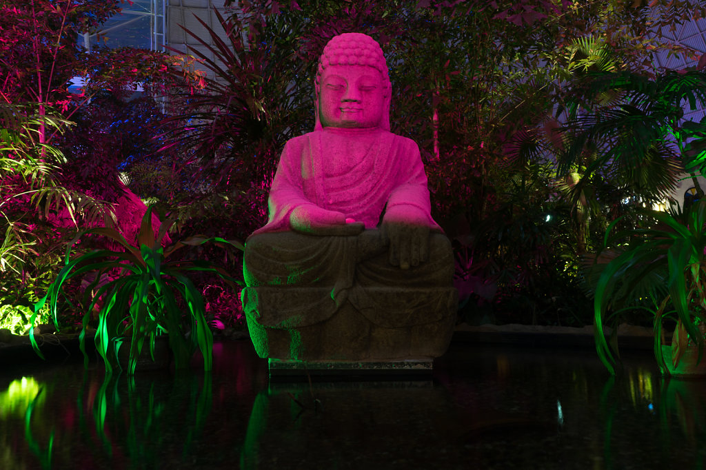 Buddha-Wasser-Nacht.jpg